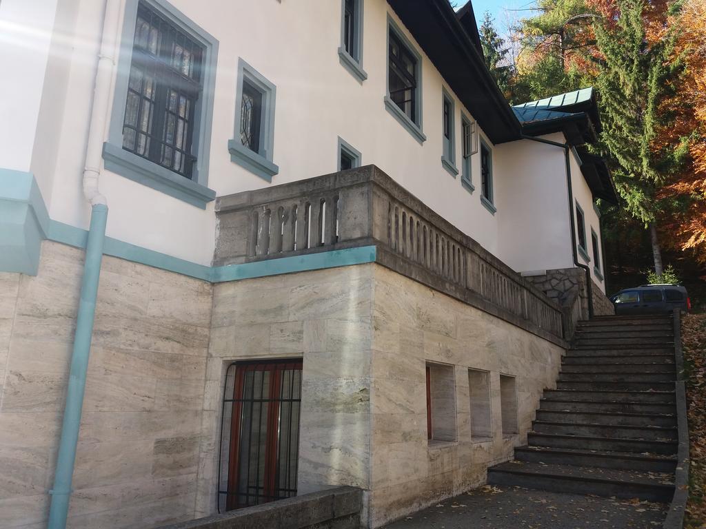 Hotel Tantzi Sinaia Luaran gambar