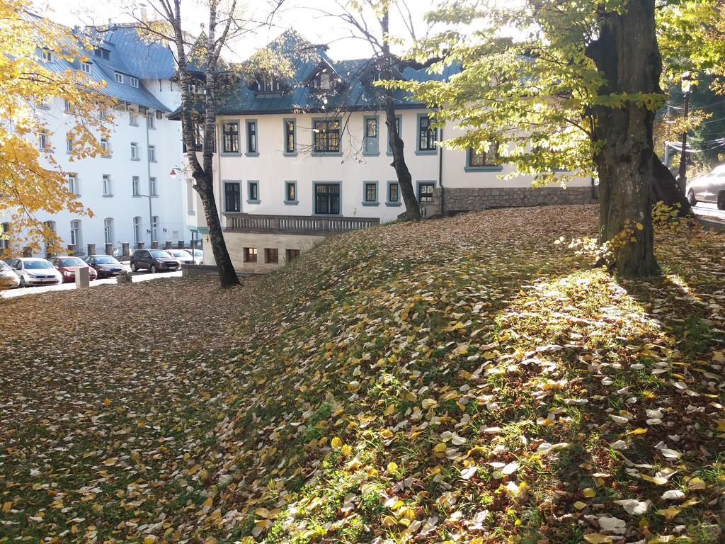 Hotel Tantzi Sinaia Luaran gambar